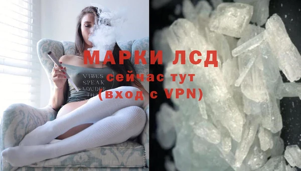 сатива Алзамай