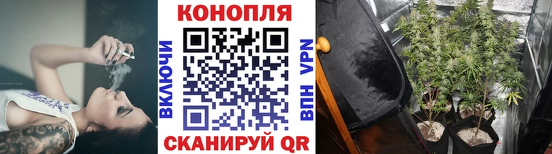 МАРИХУАНА конопля  Темников 
